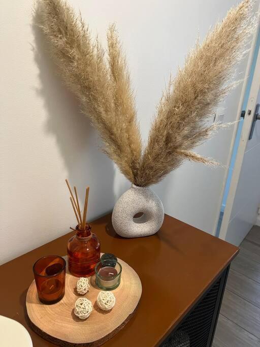 Appartement La Venise Provencale มาร์ติกส์ ภายนอก รูปภาพ