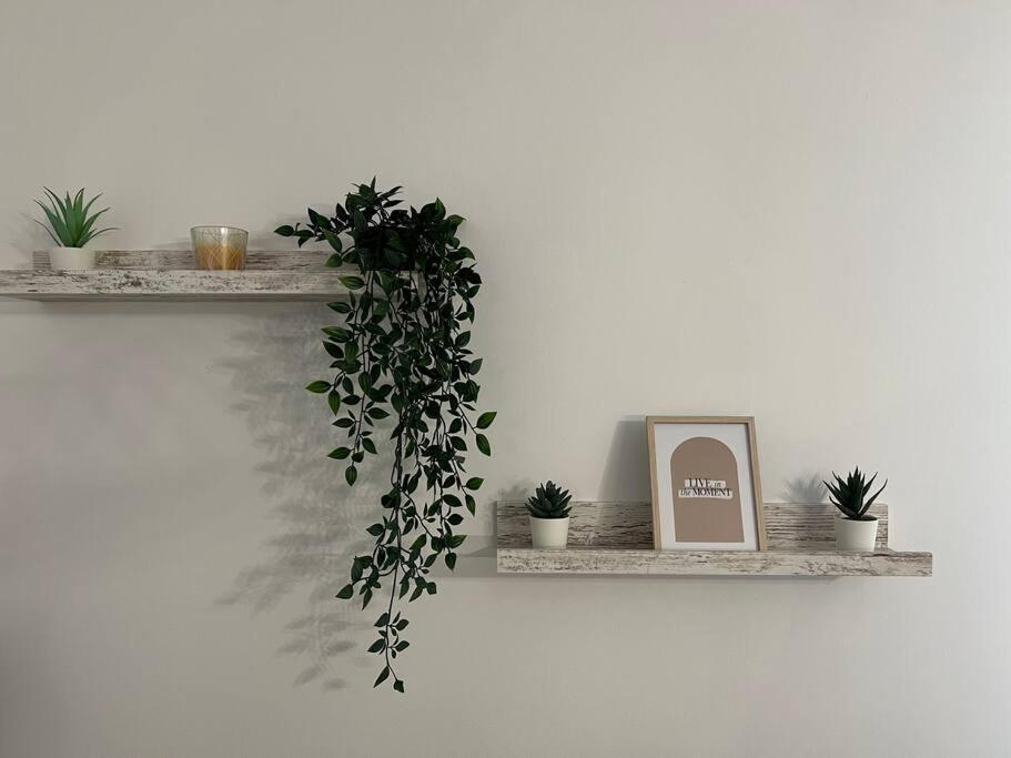 Appartement La Venise Provencale มาร์ติกส์ ภายนอก รูปภาพ